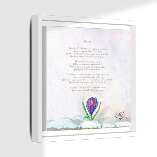 Crocus, Poem Canvas Framed